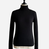 Basic Long Sleeve Turtle Neck Knit