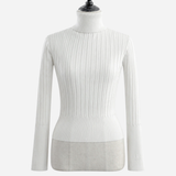 Basic Long Sleeve Turtle Neck Knit