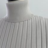 Basic Long Sleeve Turtle Neck Knit