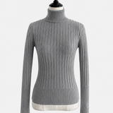 Basic Long Sleeve Turtle Neck Knit
