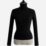 Basic Long Sleeve Turtle Neck Knit