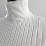 Basic Long Sleeve Turtle Neck Knit
