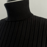 Basic Long Sleeve Turtle Neck Knit
