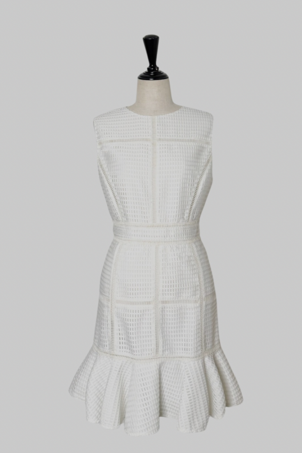 ladder lace mini dress shller / ladder lace mini dress shller /