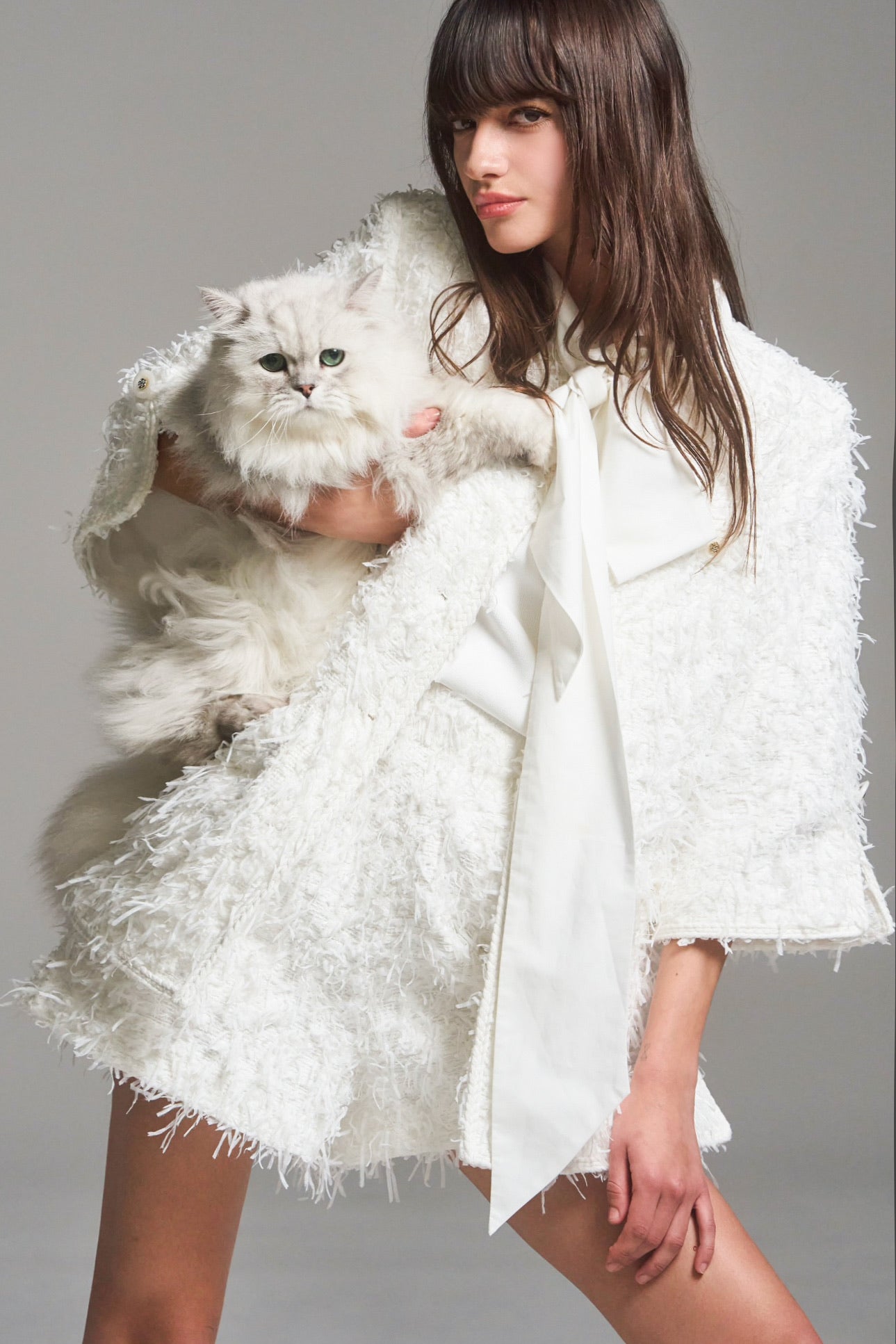 IMG_4115.JPG__PID:4b3aeae1-c0ba-4877-bd70-c26a99105300